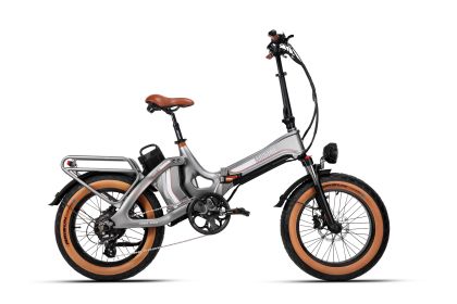 New Design 28.8Ah Lithium Battery 20inch Electric Bicycle 48V 750W e Road Cruiser Electric Cargo Bike