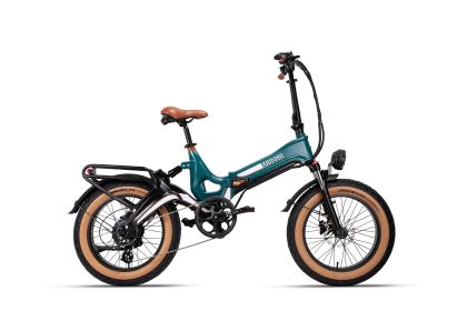 RX4.0 750W 48V 20inch Fast Folding Fat Tire Full Suspension Ebike for Adult