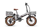 New Design 28.8Ah Lithium Battery 20inch Electric Bicycle 48V 750W e Road Cruiser Electric Cargo Bike