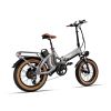 New Design 28.8Ah Lithium Battery 20inch Electric Bicycle 48V 750W e Road Cruiser Electric Cargo Bike