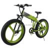 20inch Foldable Electric Bicycle City Ebike 20LVXD30