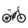 1500W High-end Electric Bicycle S17-1500W