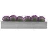 Garden Raised Bed Galvanized Steel 189"x31.5"x17.7" Gray