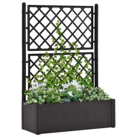 Garden Raised Bed with Trellis and Self Watering System Anthracite (Color: Anthracite)