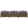 Raised Bed 47.2"x15.7"x9.1" Polypropylene